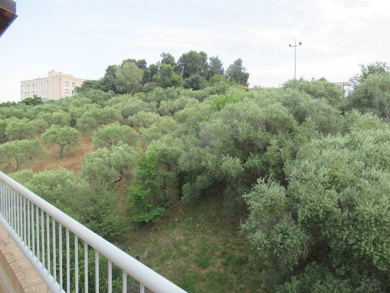 Foto annuncio 6
