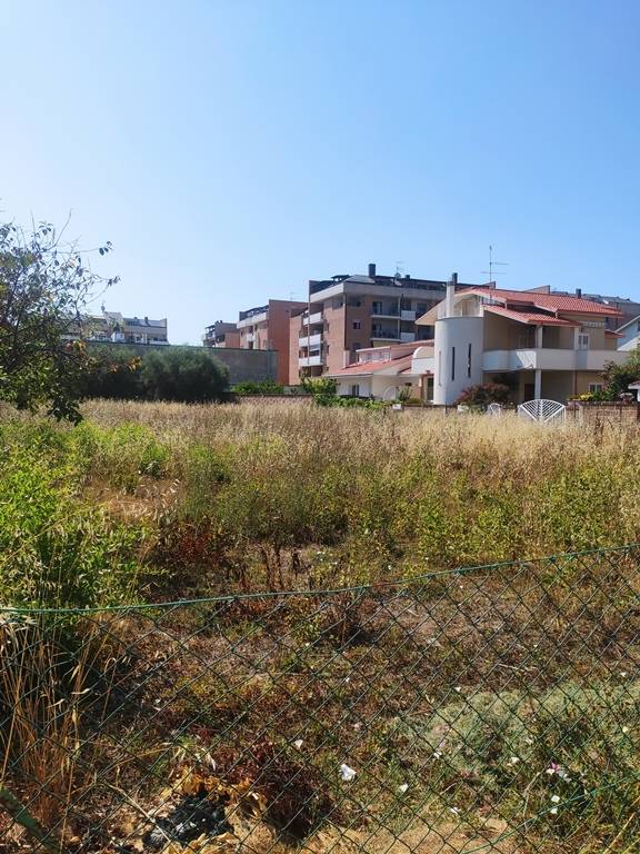 Foto annuncio 3