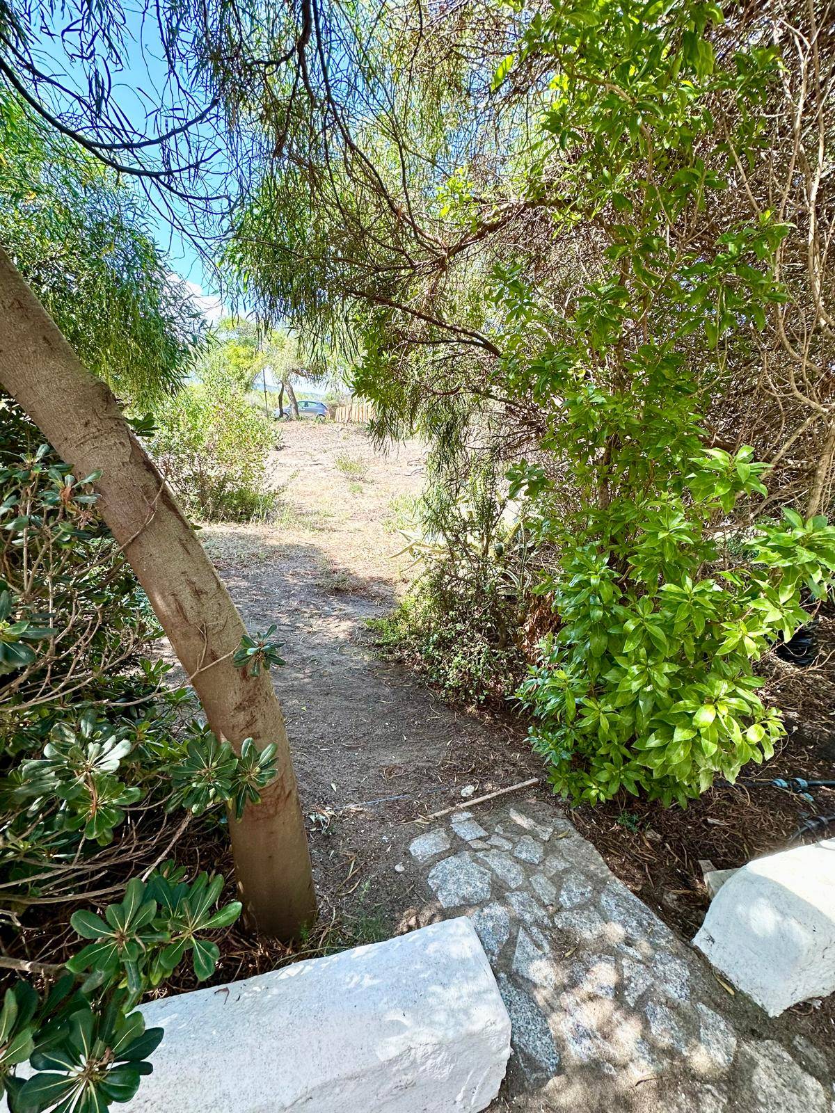 Immagine 28 di Appartamento in vendita  in San Pietro  mare a Valledoria
