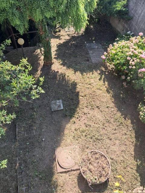 Foto annuncio 33