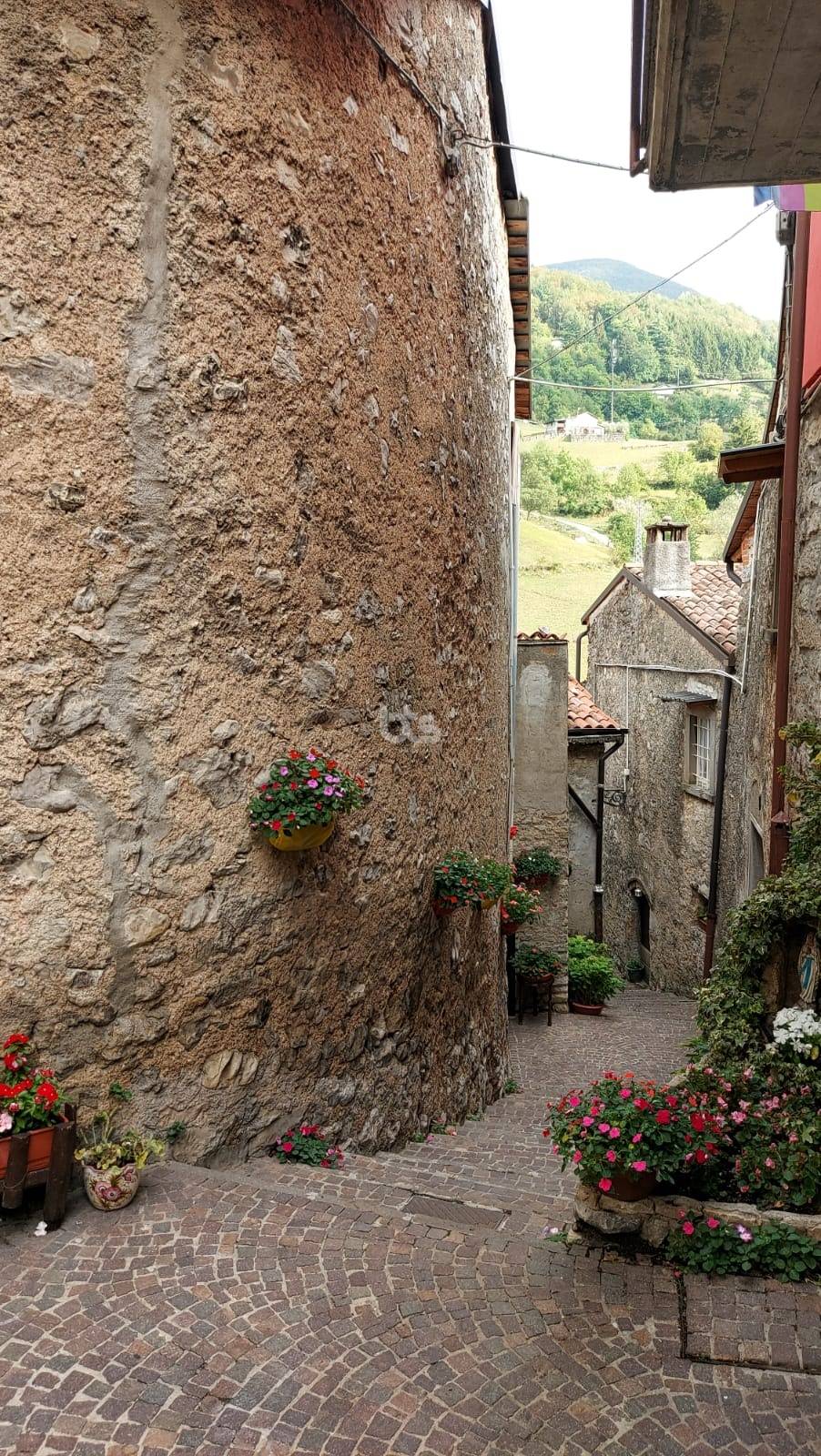 Immagine 1 di Rustico / casale in vendita  in via santa maria 1 a Adrara San Martino