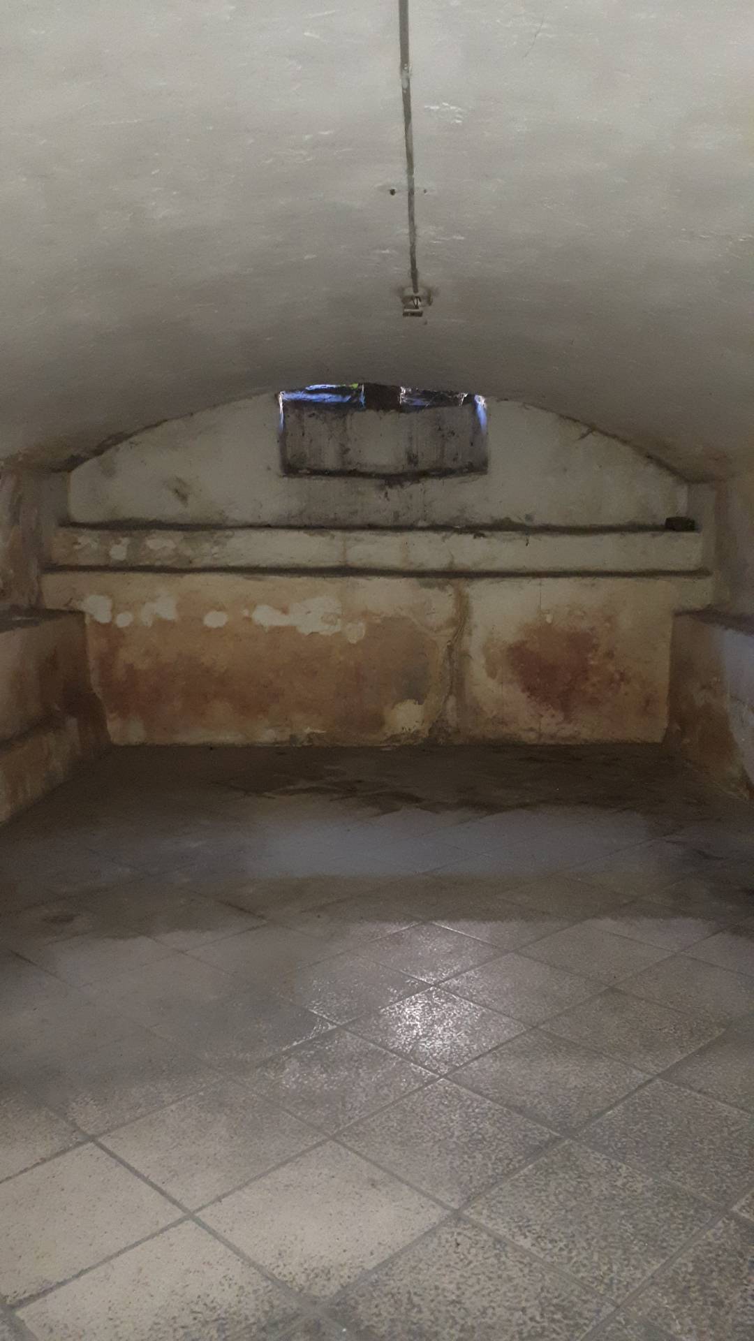 Immagine 15 di Attività commerciale in affitto  in via guidiccioni 182 a Lucca