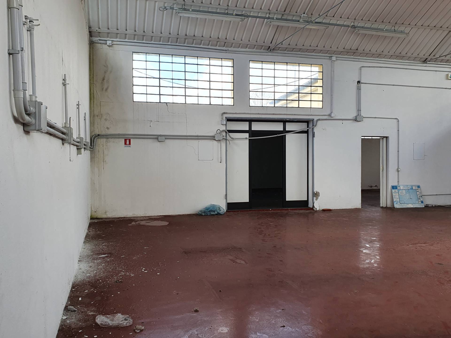 Immagine 2 di Attività commerciale in affitto  in Via Romana a Lucca