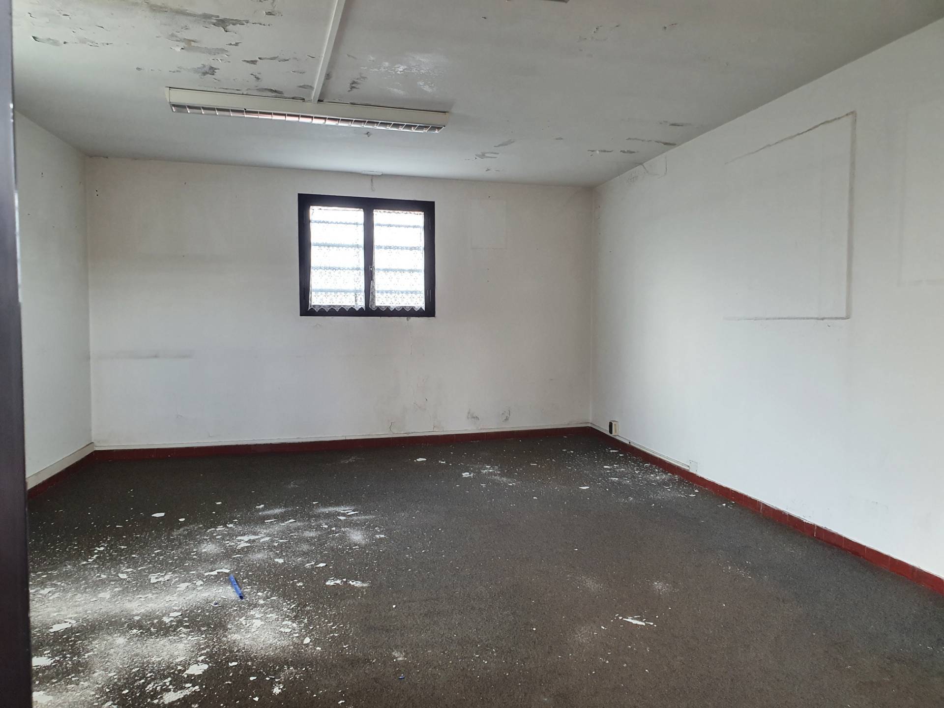 Immagine 5 di Attività commerciale in affitto  in Via Romana a Lucca