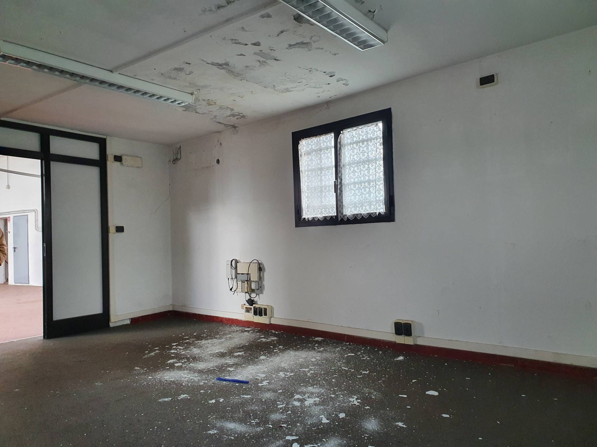 Immagine 6 di Attività commerciale in affitto  in Via Romana a Lucca