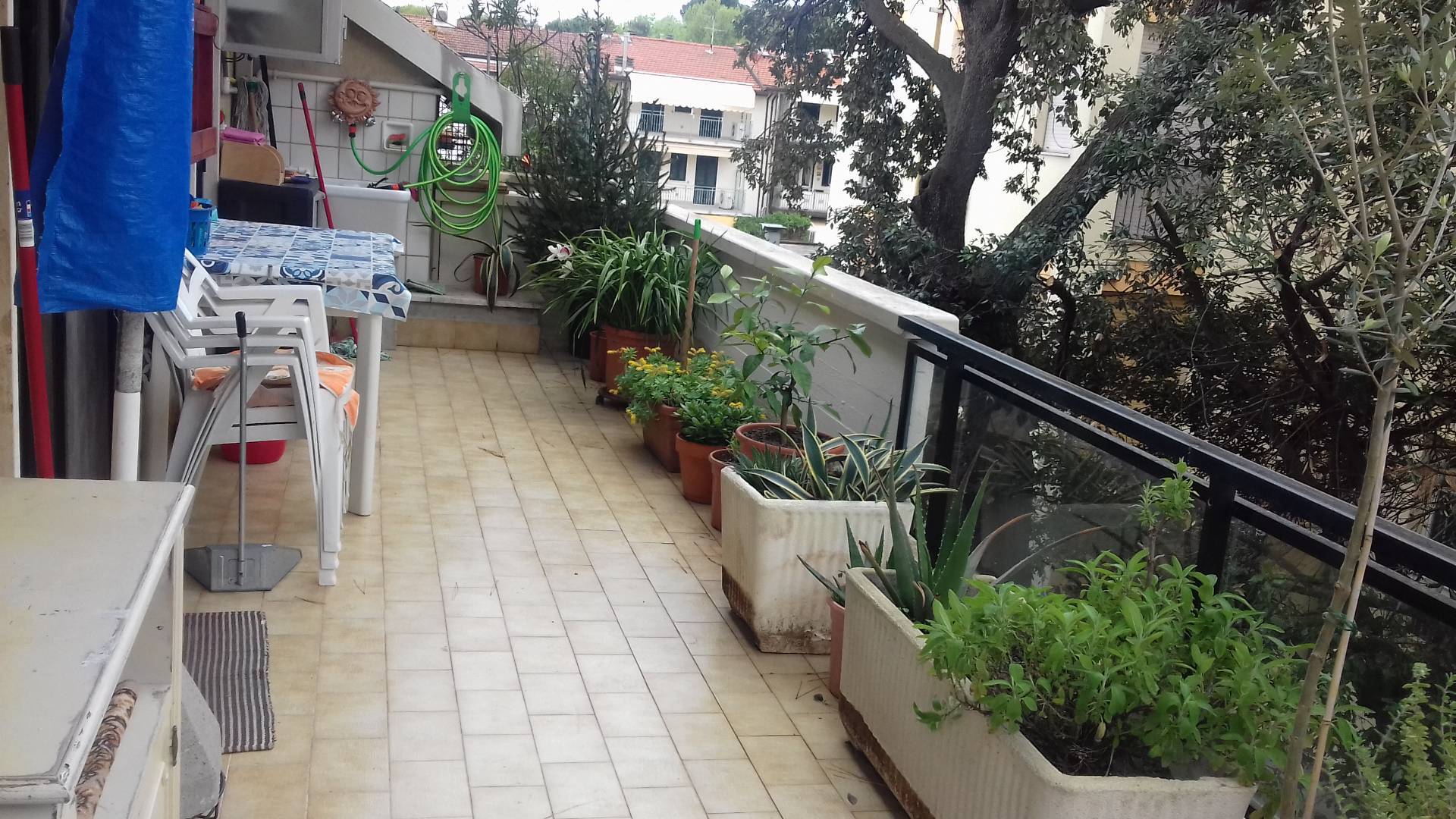 Immagine 10 di Appartamento in affitto  in via maroncelli a Viareggio