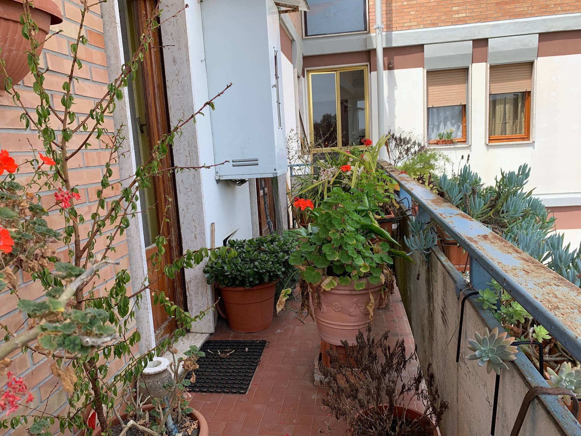 Immagine 10 di Appartamento in affitto  in Via Firenze a Massa