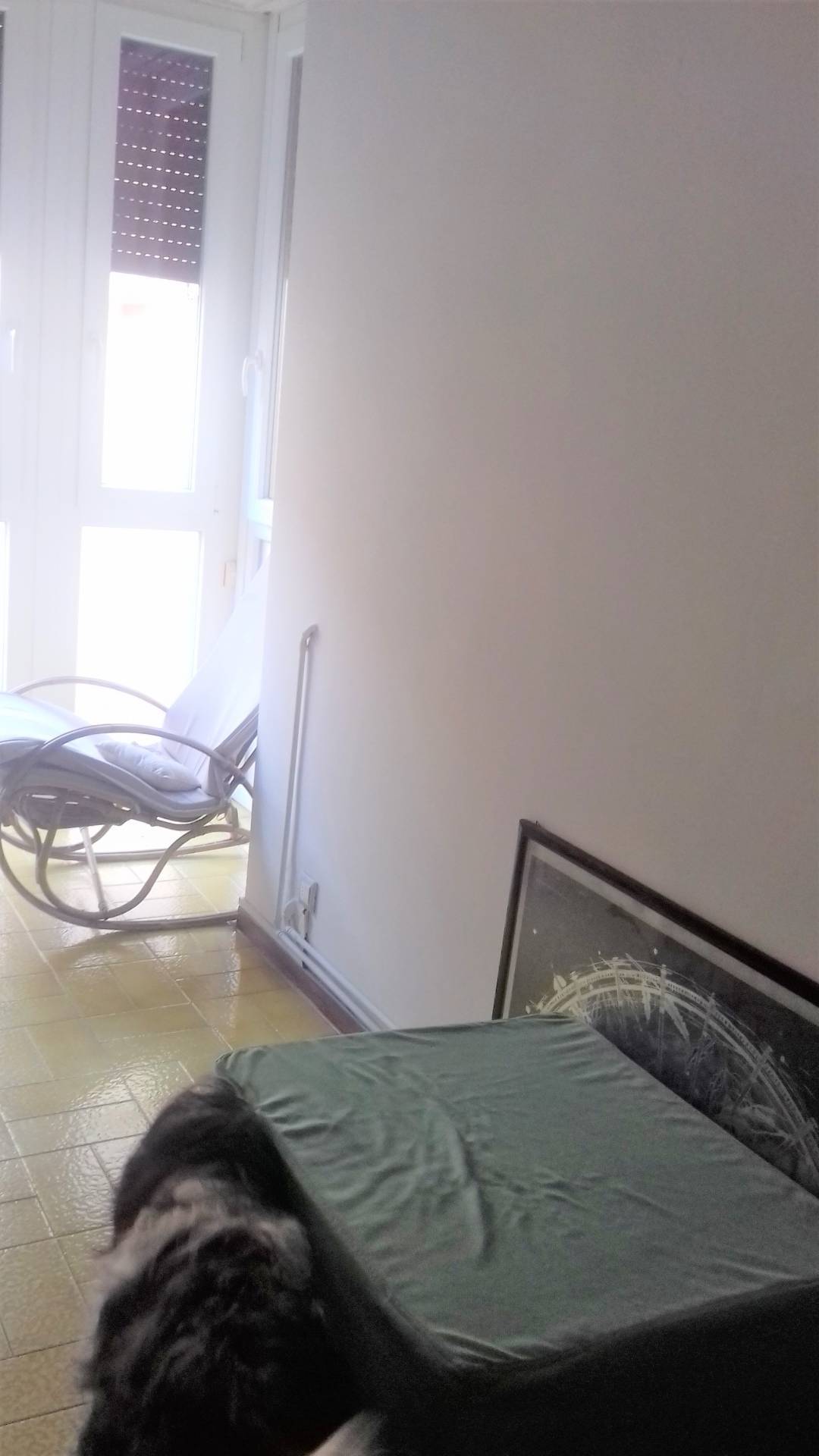 Immagine 9 di Appartamento in affitto  in Via aurelio saffi - a Viareggio