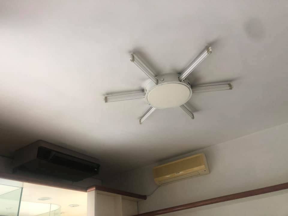 Immagine 15 di Attività commerciale in vendita  in Via Pietro Maroncelli a Viareggio