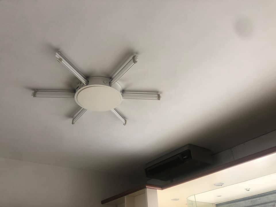 Immagine 16 di Attività commerciale in vendita  in Via Pietro Maroncelli a Viareggio