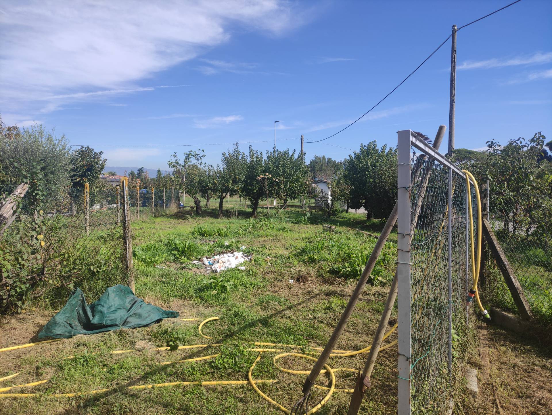 Immagine 10 di Casa indipendente in vendita  in via dei caduti di sotto a Altopascio