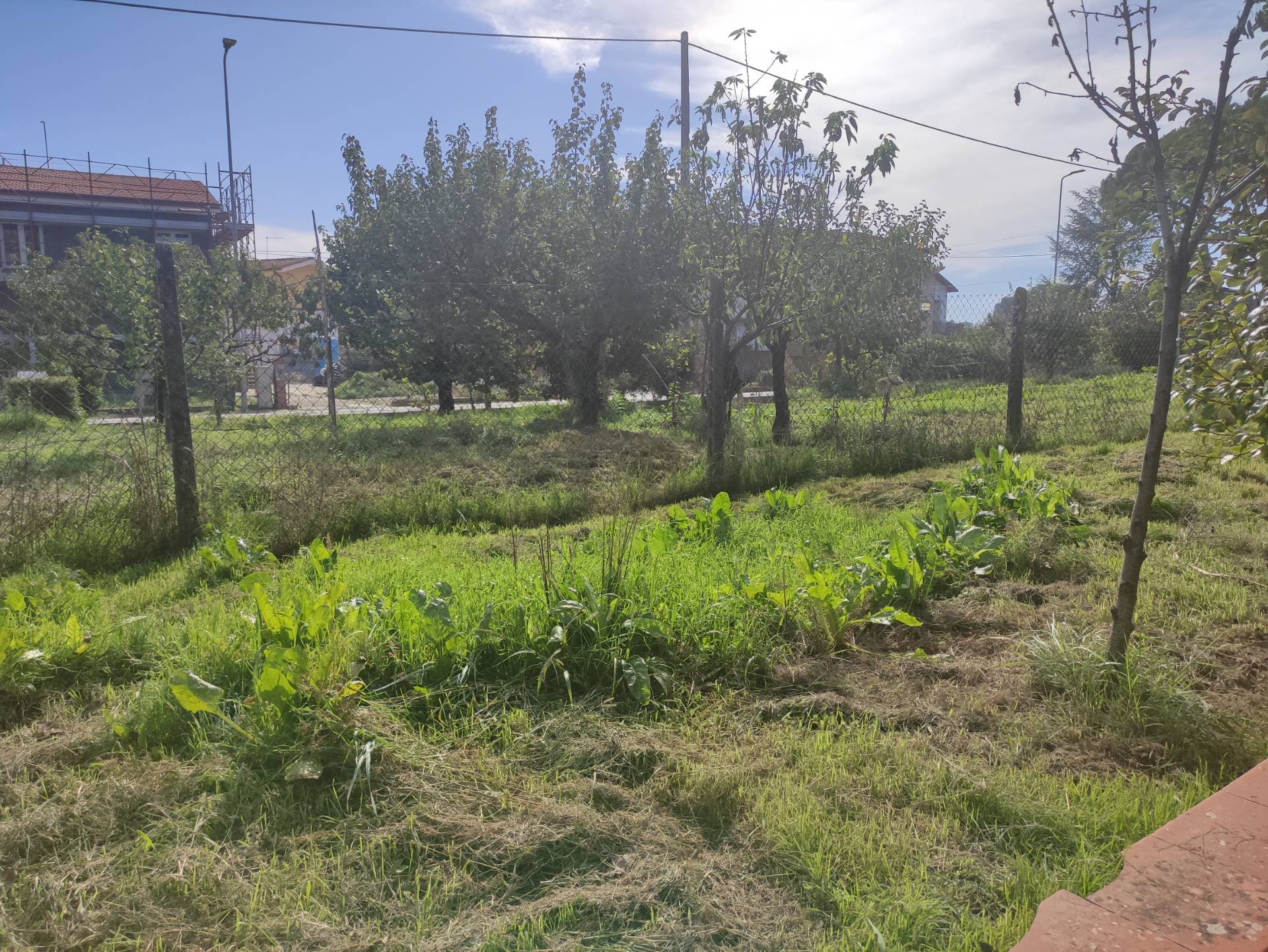 Immagine 11 di Casa indipendente in vendita  in via dei caduti di sotto a Altopascio