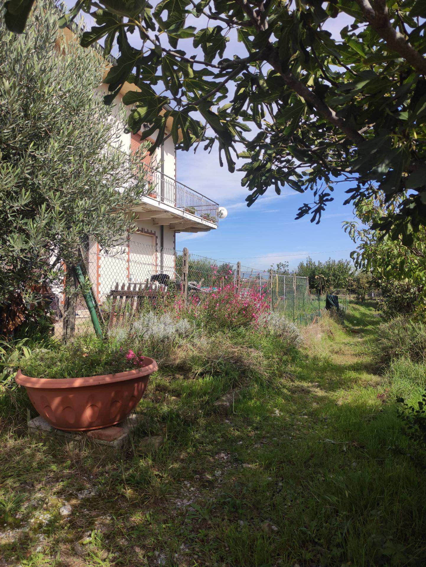 Immagine 12 di Casa indipendente in vendita  in via dei caduti di sotto a Altopascio