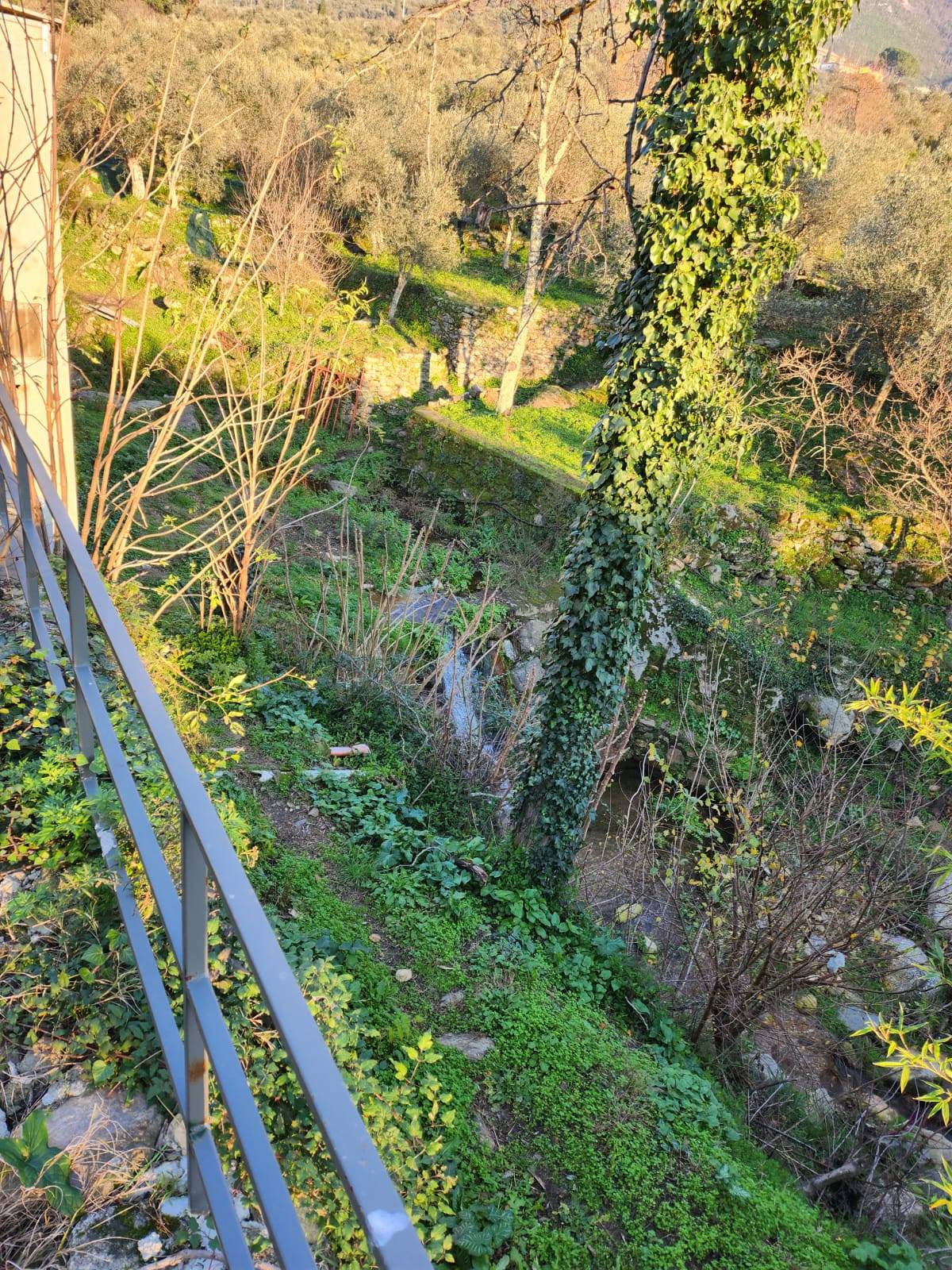 Immagine 13 di Casa indipendente in vendita  in via ruschi a Calci