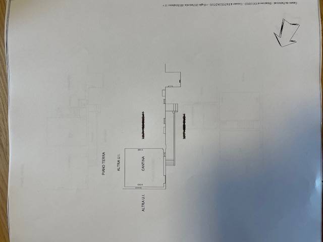 Immagine 19 di Appartamento in vendita  in Via Scacciapolli 1 a Collesalvetti