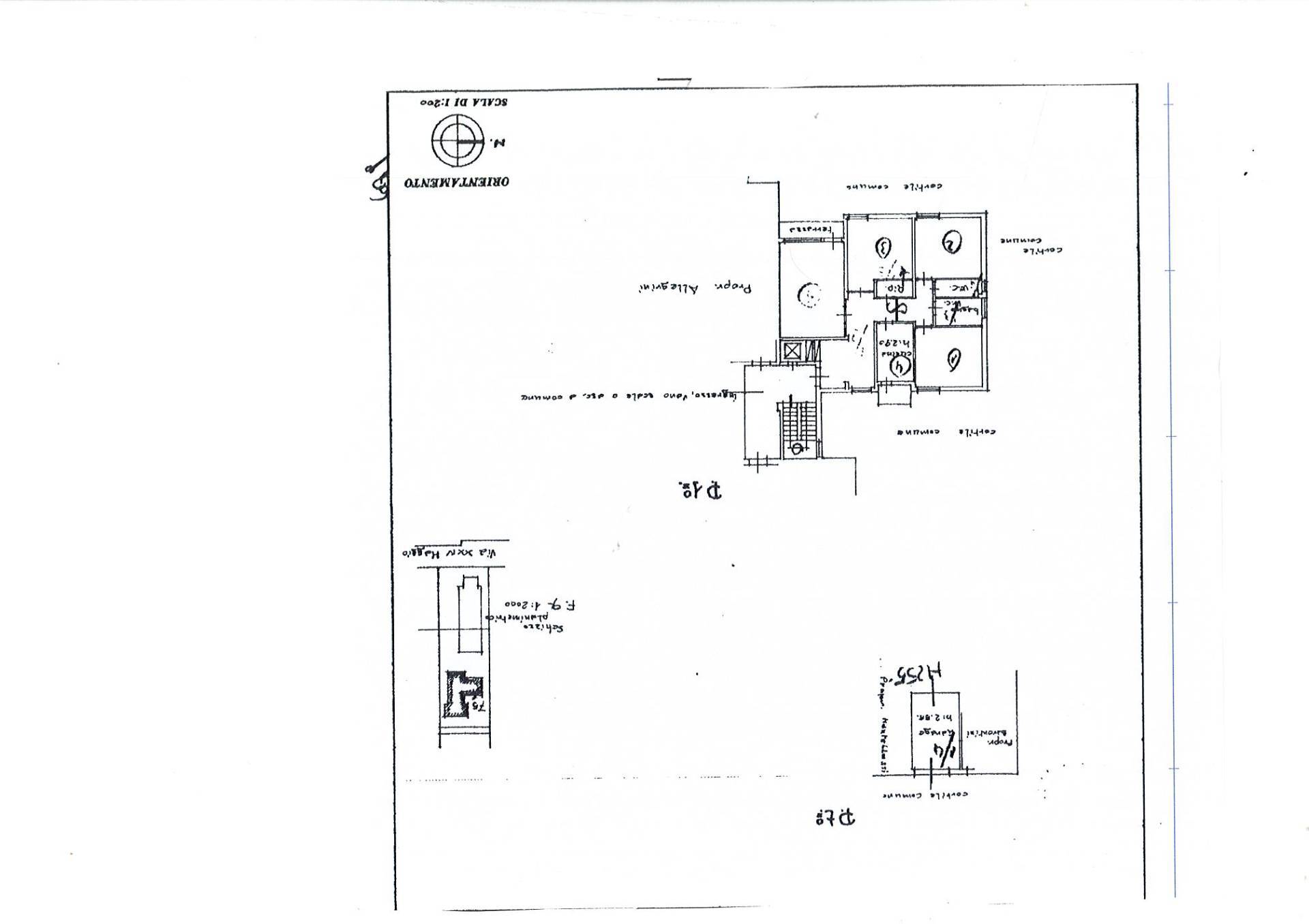 Immagine 13 di Camera in affitto  in Via Cecco Di Pietro a Pisa