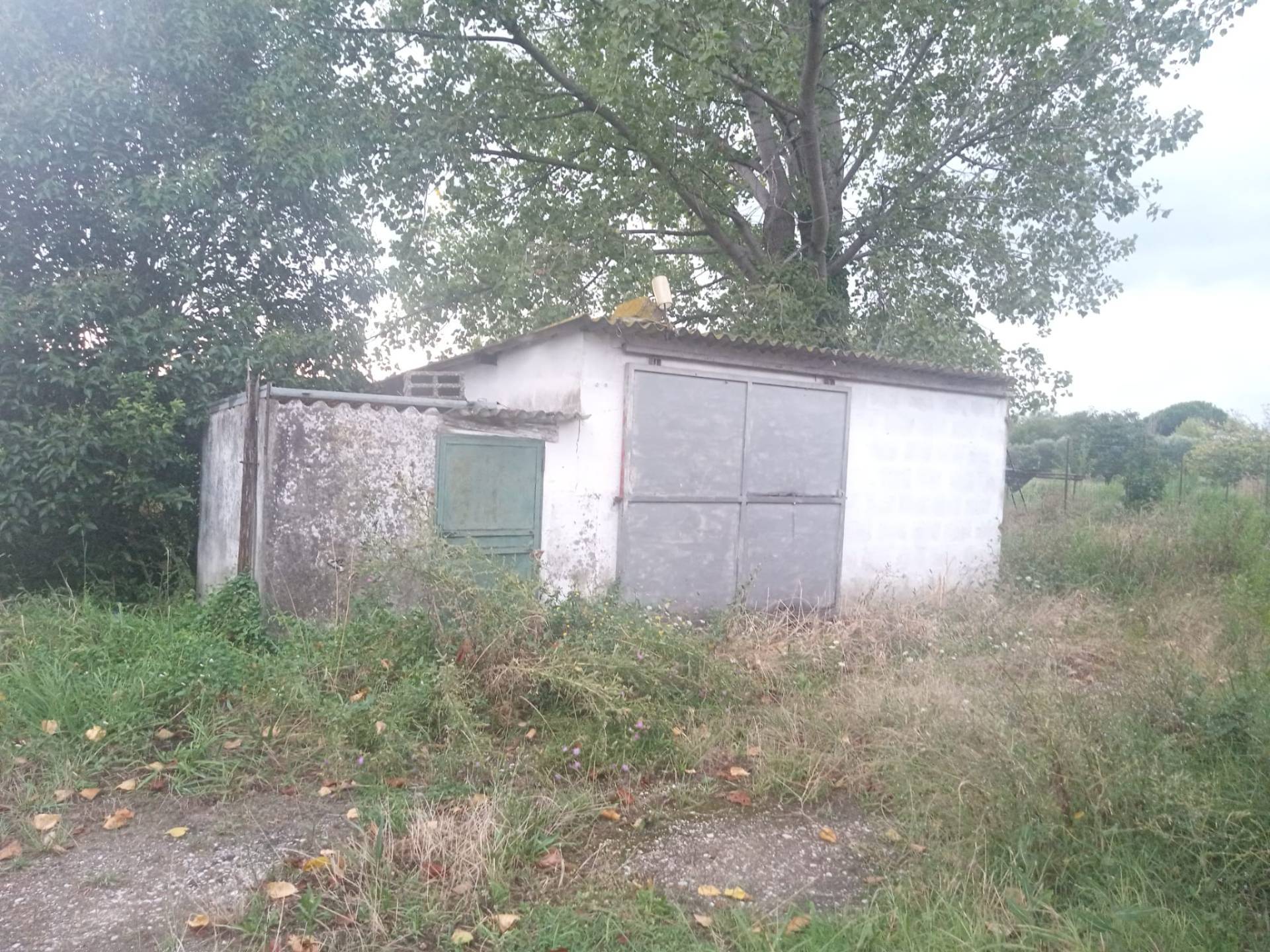 Immagine 8 di Attività commerciale in vendita  in via carlo marx - a San Giuliano Terme