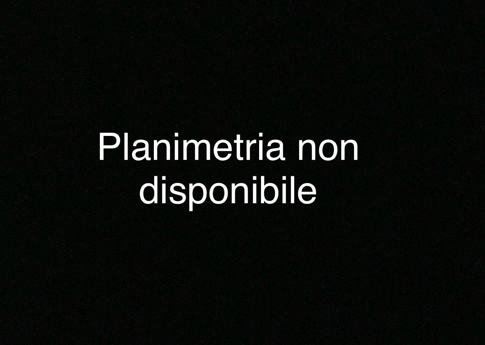 Immagine 14 di Camera in affitto  in via gobetti 1 a Pisa