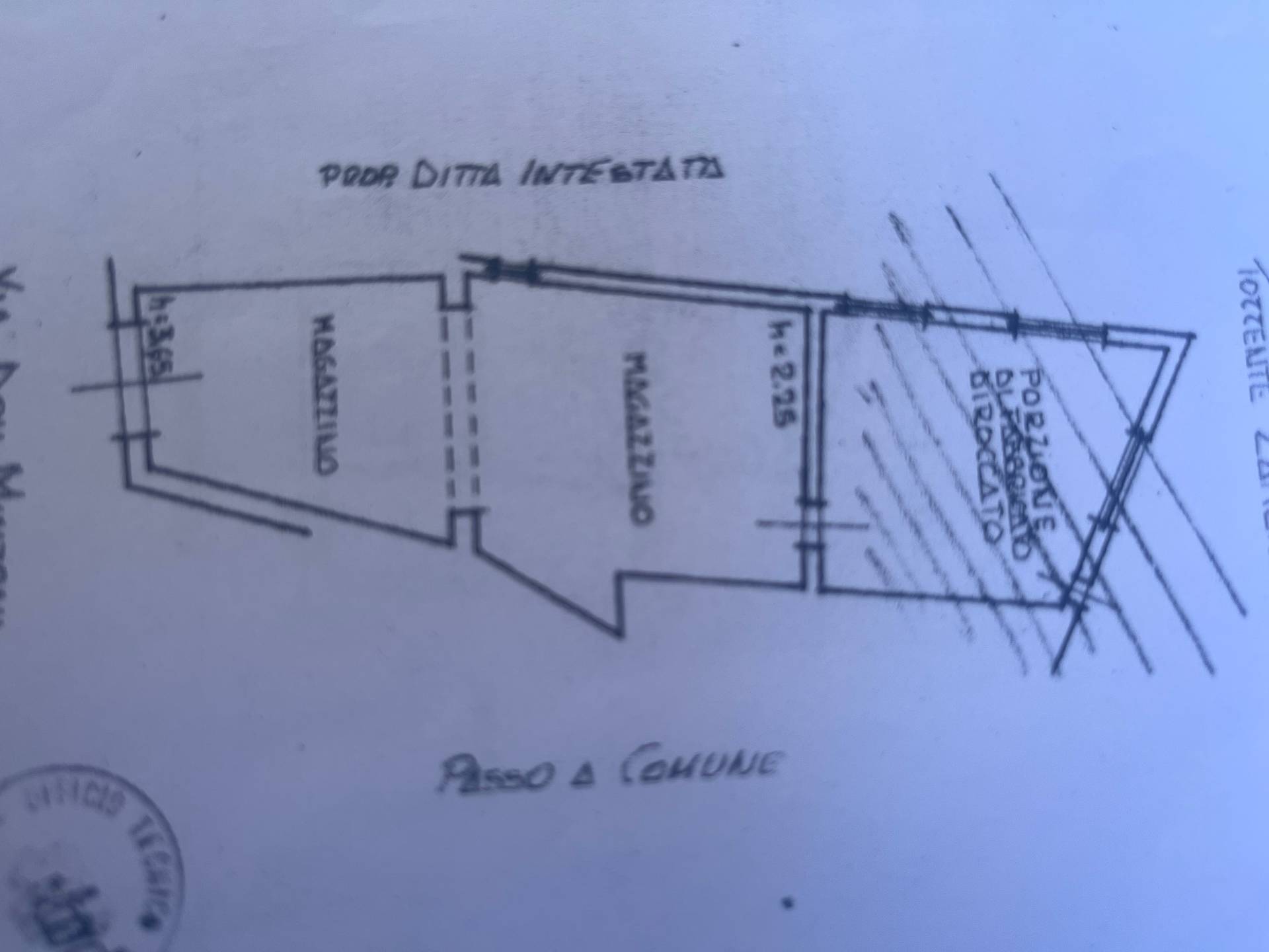 Immagine 19 di Casa indipendente in vendita  in via s. maria 133 a Calci