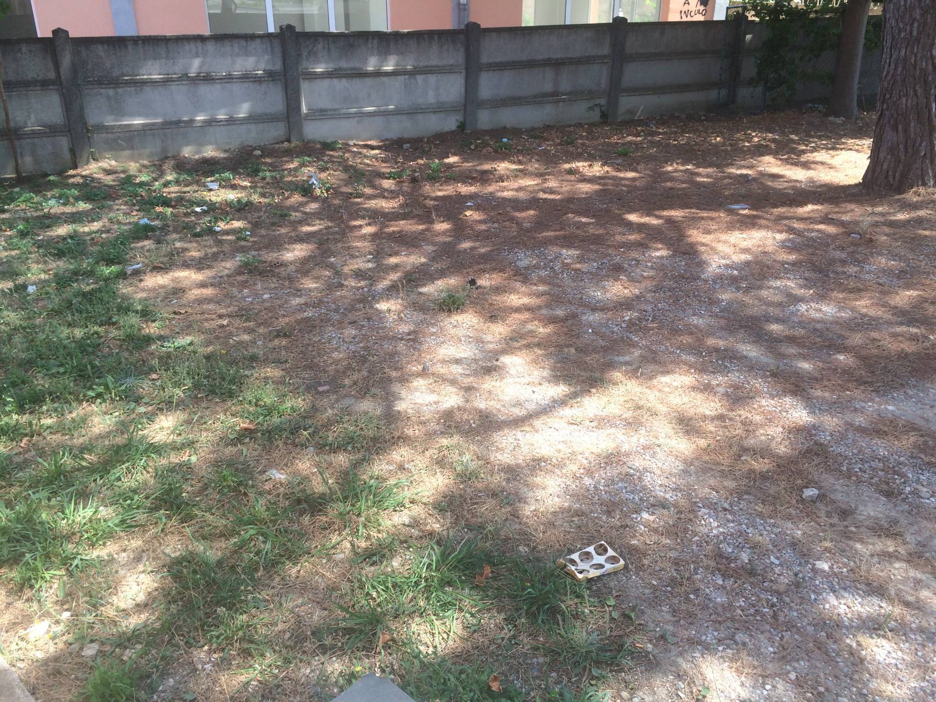 Foto annuncio 2