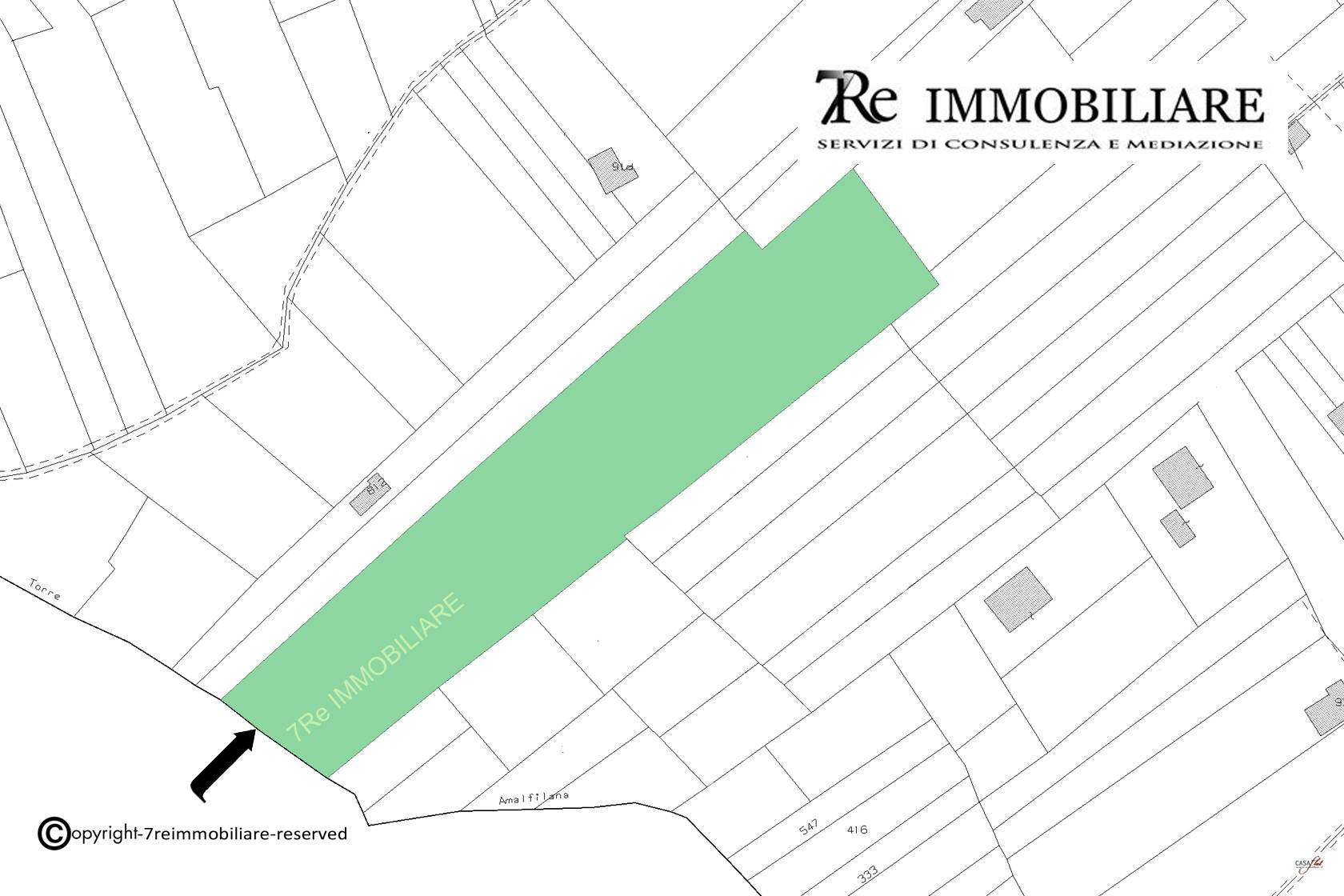Immagine 72 di Terreno agricolo in vendita  in Strada Comunale Torre Amalfitano a Bagheria