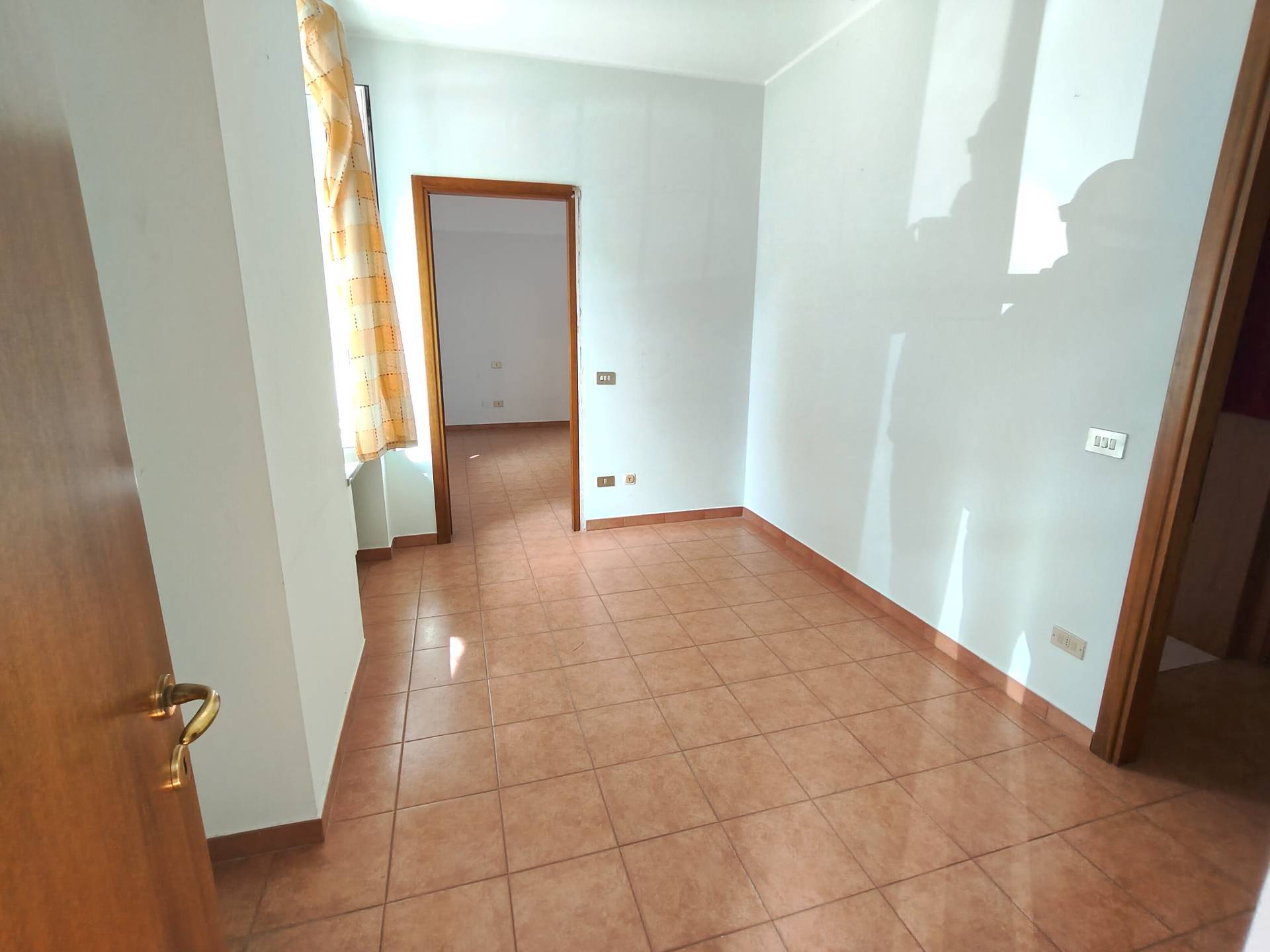 Foto annuncio 12
