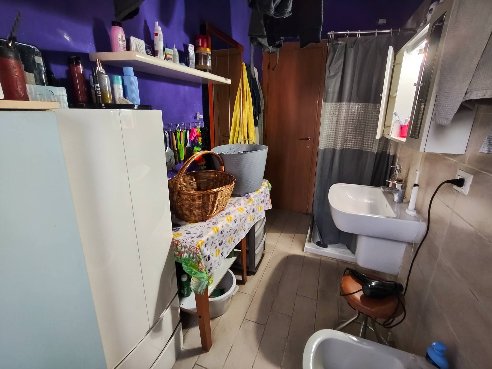 Foto annuncio 12