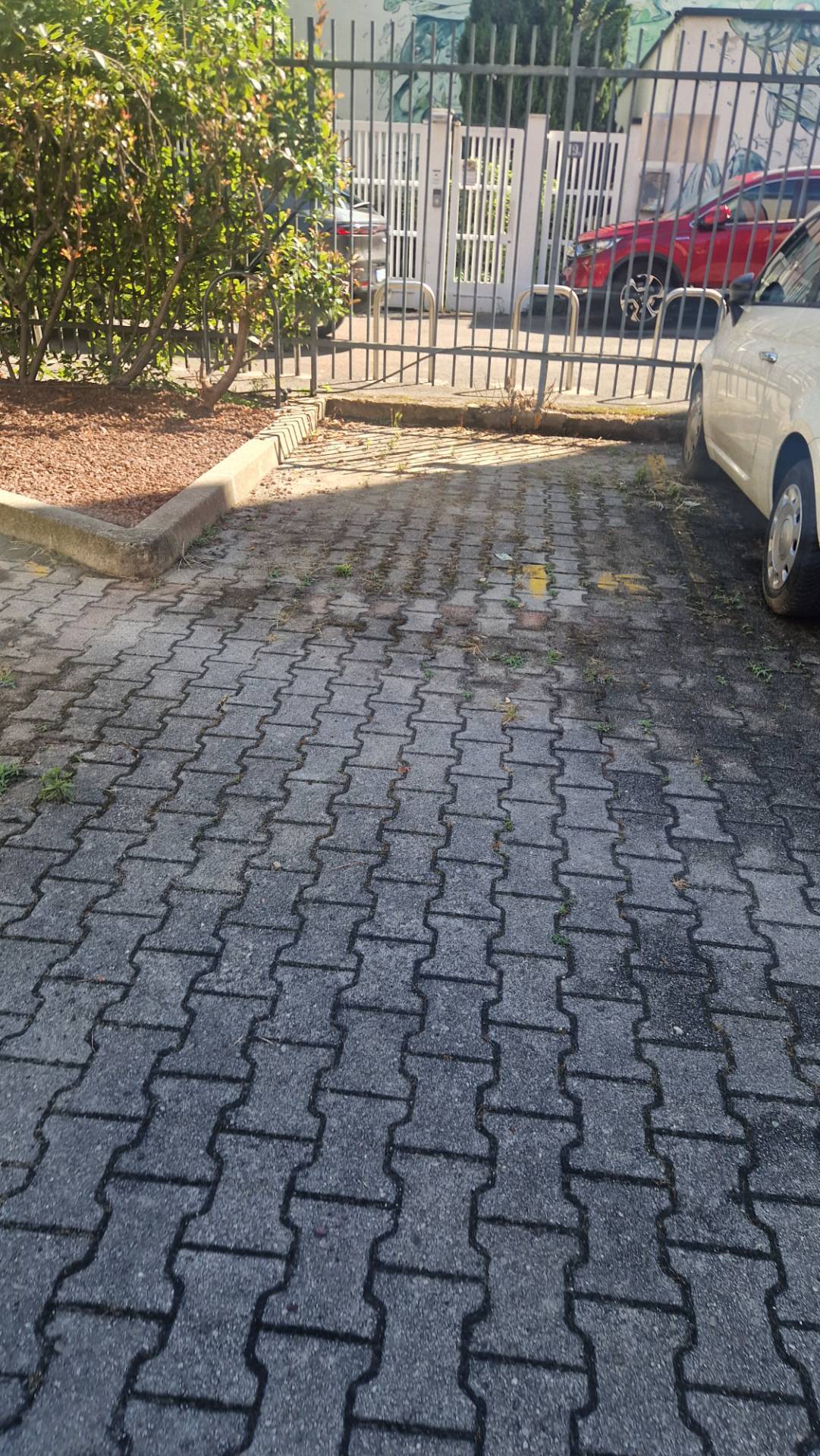 Foto annuncio 2