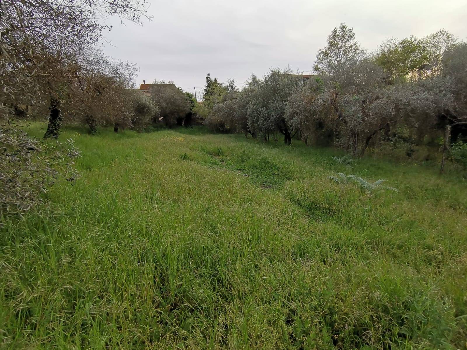 Immagine 14 di Casa indipendente in vendita  in via di bientina a Santa Maria A Monte
