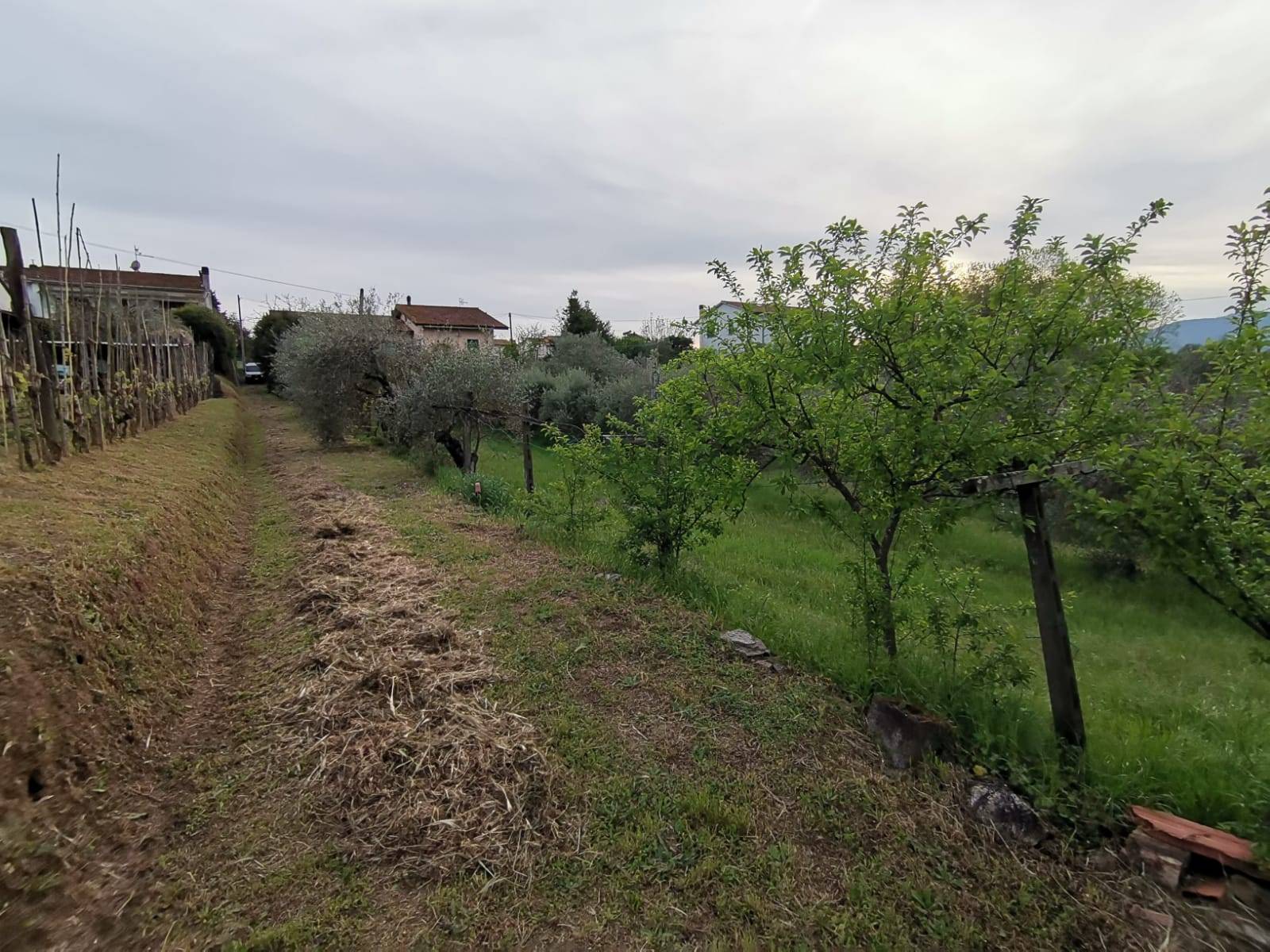 Immagine 15 di Casa indipendente in vendita  in via di bientina a Santa Maria A Monte