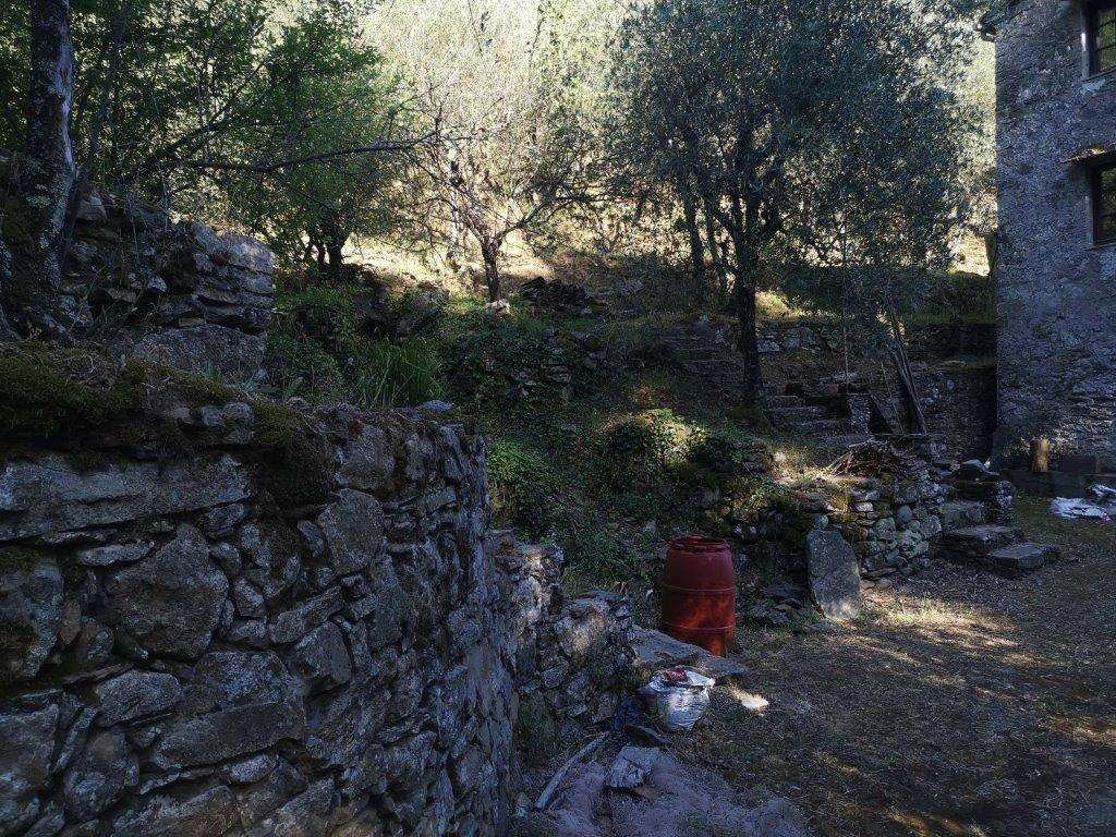 Immagine 2 di Casa indipendente in vendita  in PANICALE a Buti