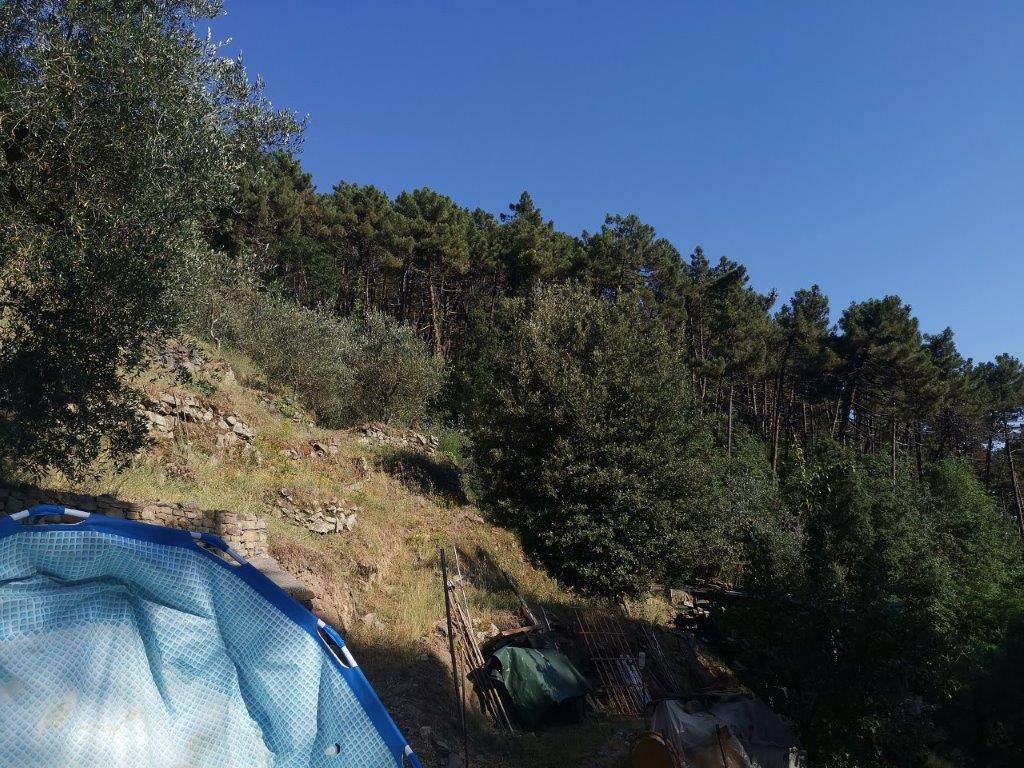 Immagine 8 di Casa indipendente in vendita  in PANICALE a Buti