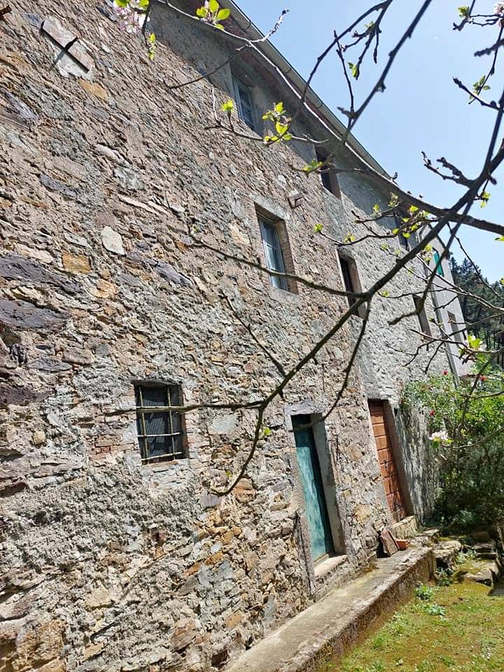 Immagine 15 di Casa indipendente in vendita  in PANICALE a Buti