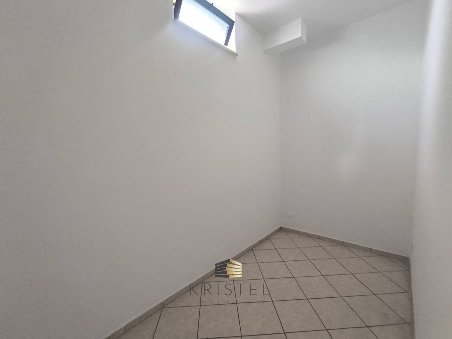 Foto annuncio 12