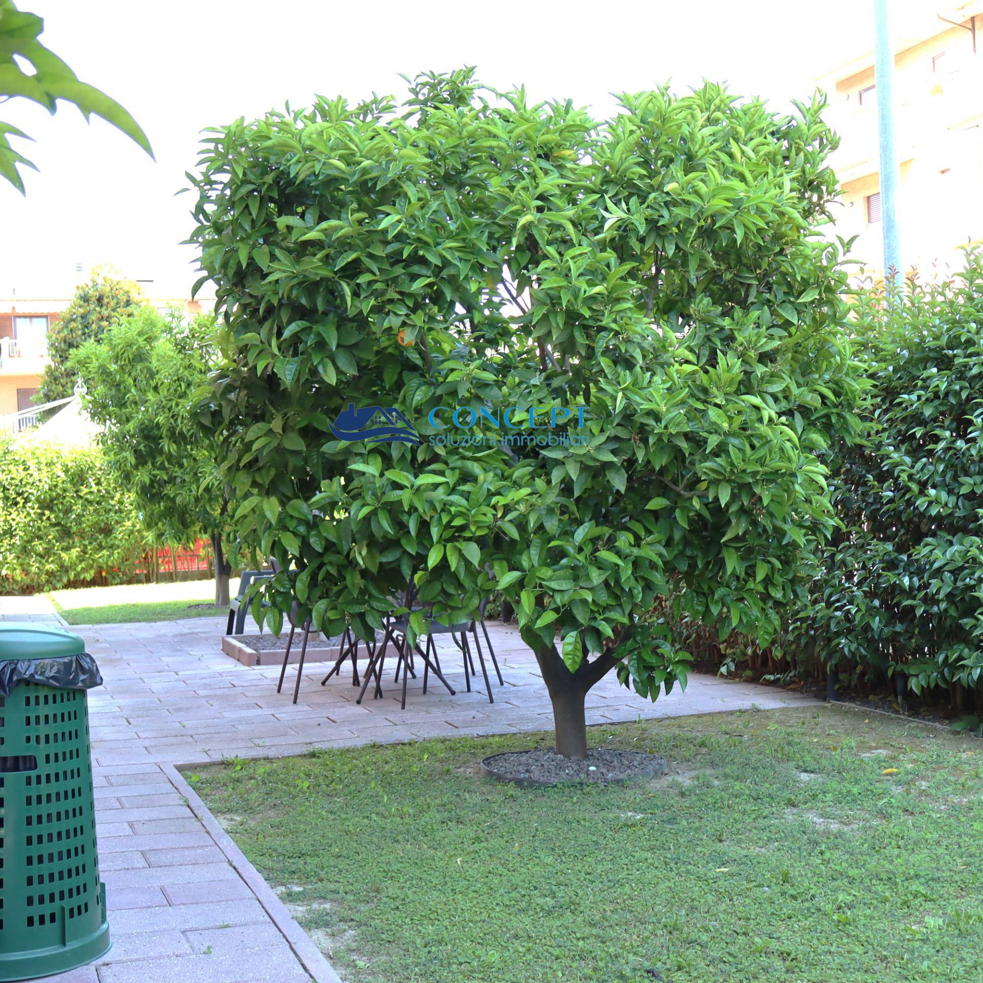 Immagine 21 di Villetta a schiera in vendita  in via Liri snc a San Benedetto Del Tronto