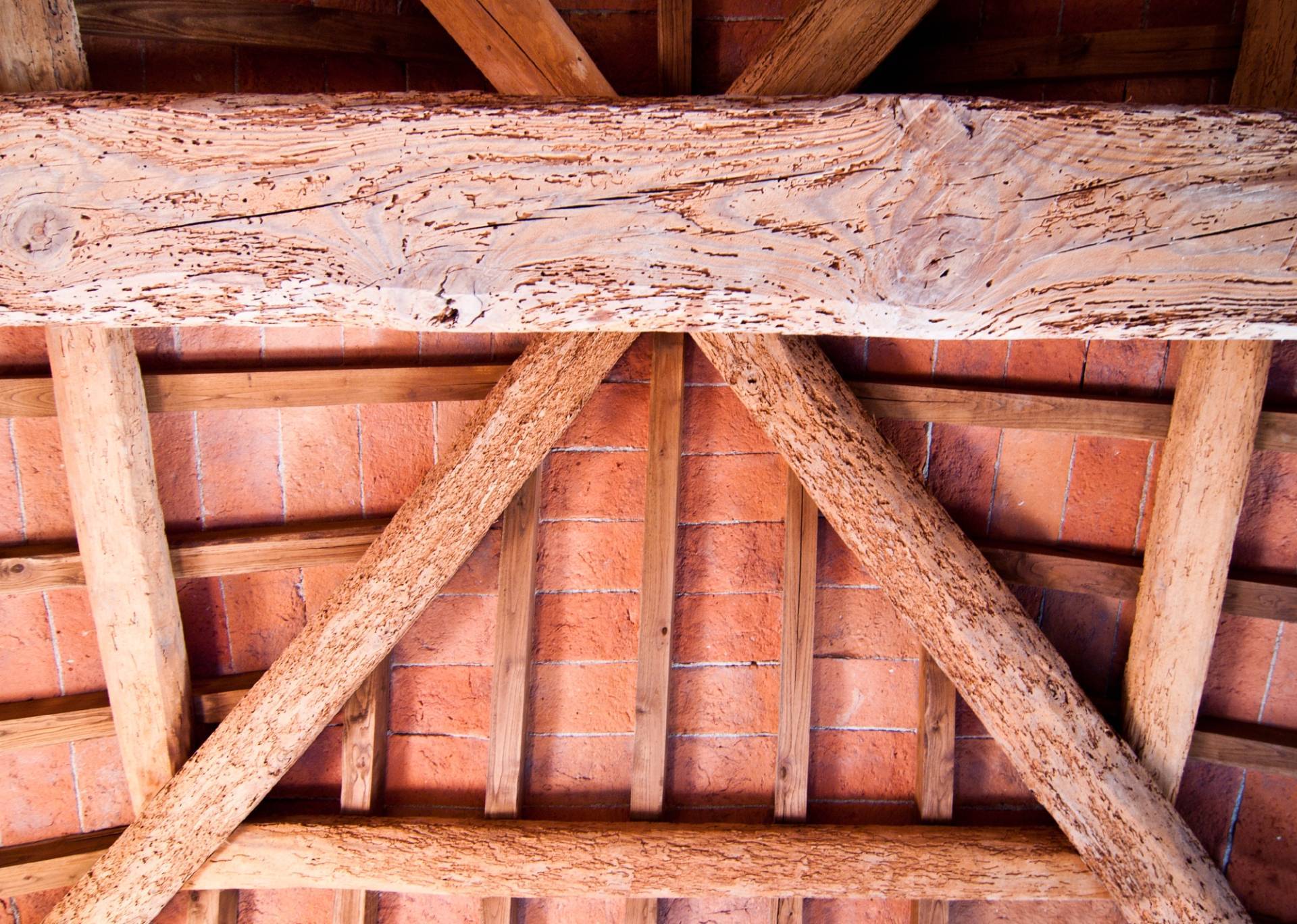 Immagine 6 di Appartamento in vendita  in san lorenzo a Palaia