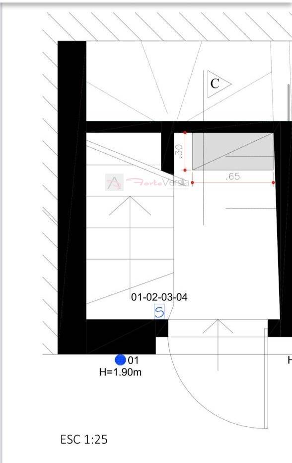 Immagine 38 di Casa semindipendente in vendita  a Forte Dei Marmi