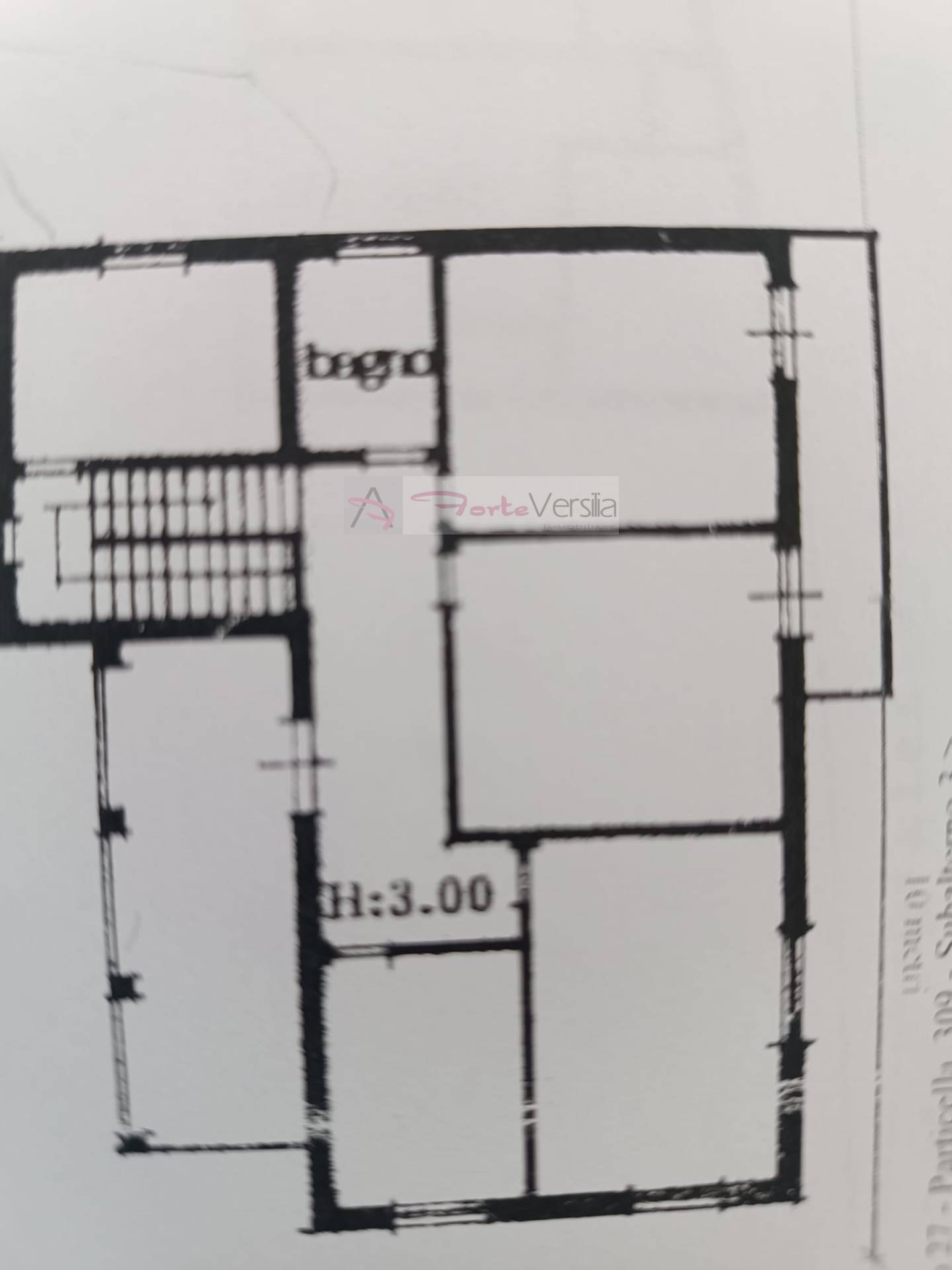 Immagine 10 di Villa in vendita  a Camaiore