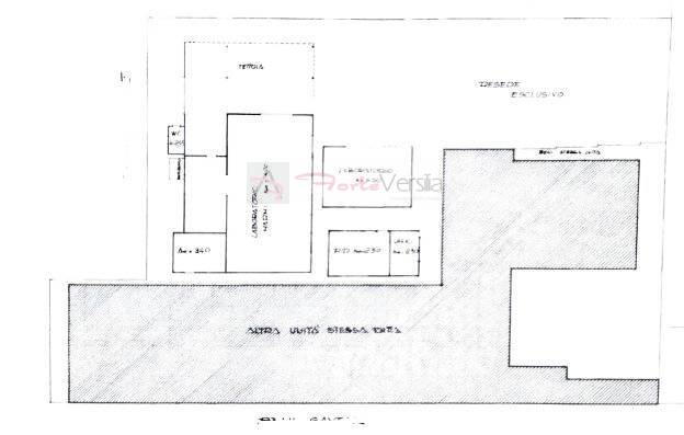 Immagine 36 di Capannone industriale in vendita  a Pietrasanta