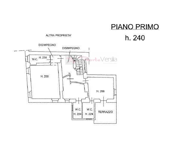 Immagine 21 di Rustico / casale in vendita  a Pietrasanta