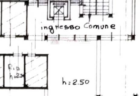 Immagine 32 di Appartamento in vendita  a Seravezza