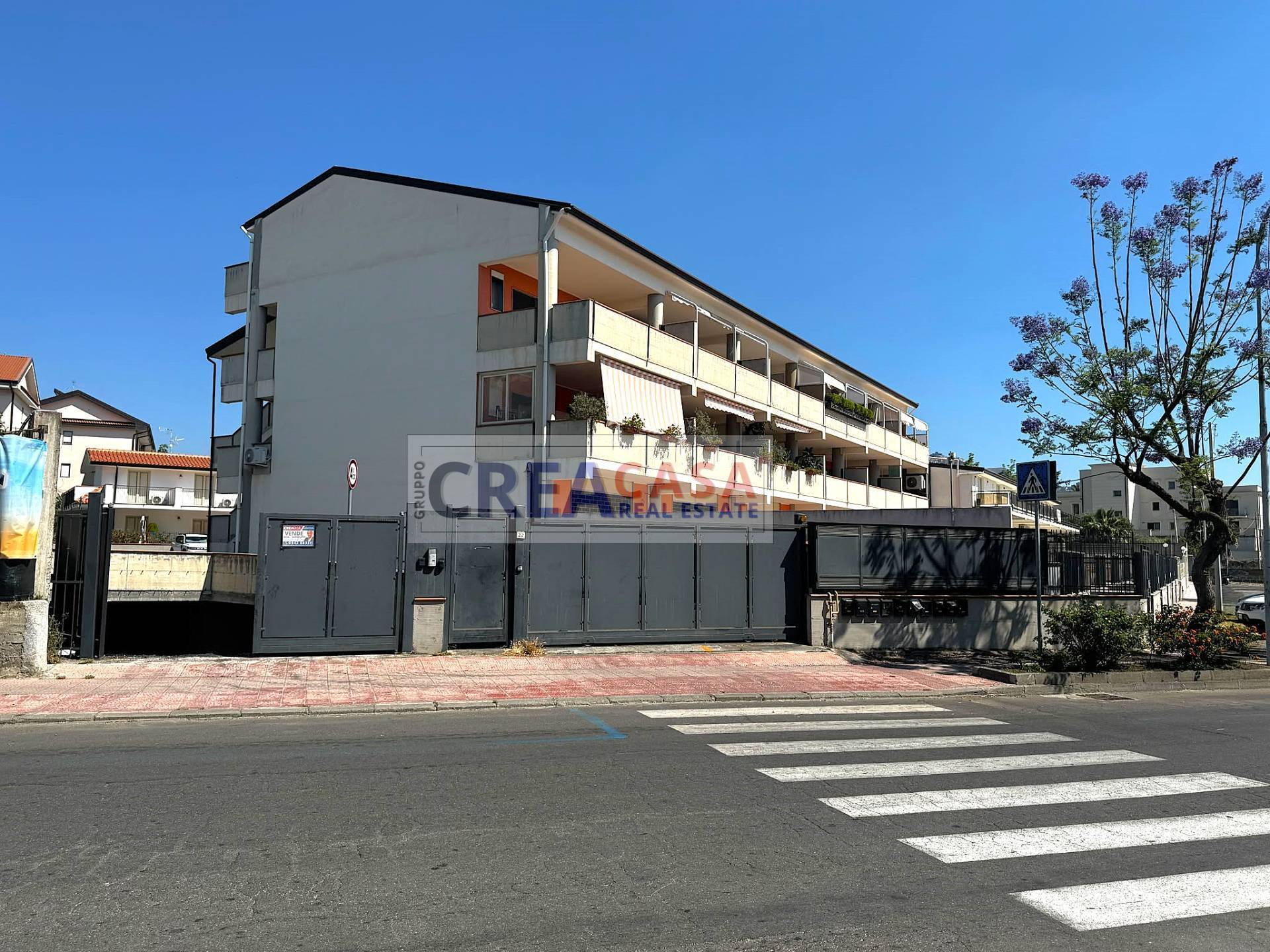Foto annuncio 7