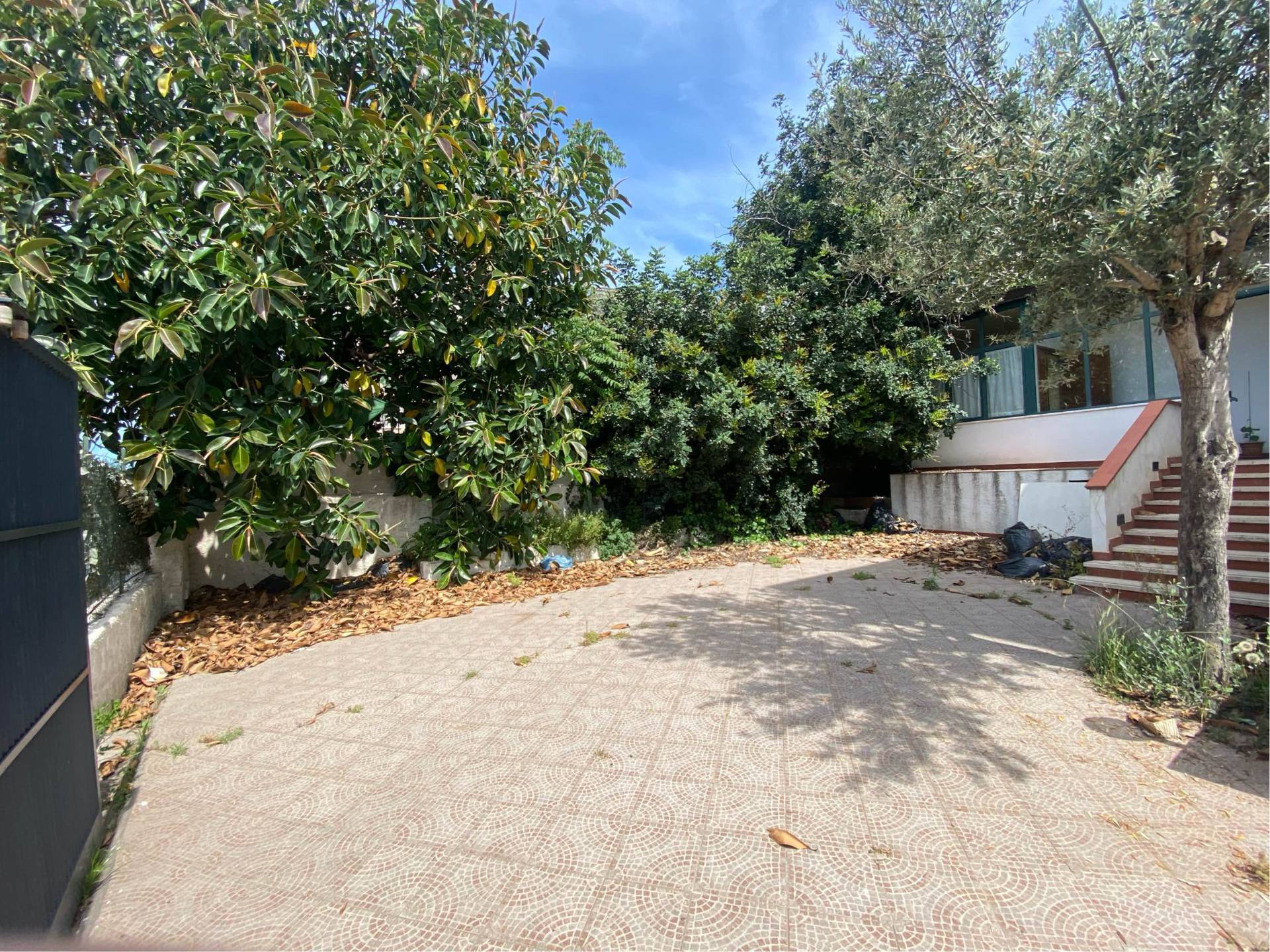 Immagine 12 di Locale commerciale in affitto  in Viale Rosario Nicoletti 35 a Palermo