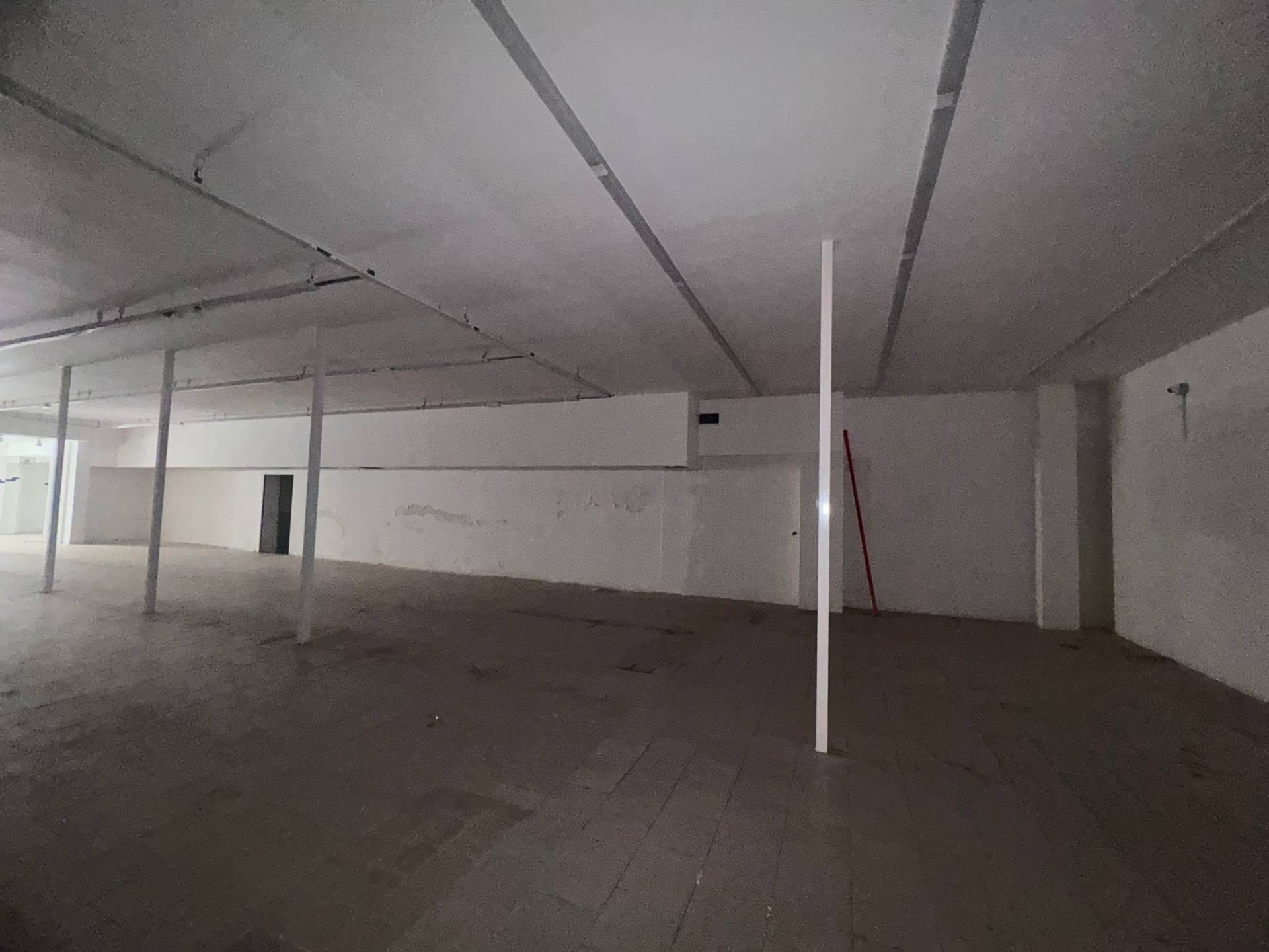 Foto annuncio 11