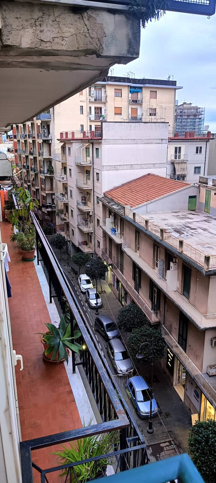 Foto annuncio 11