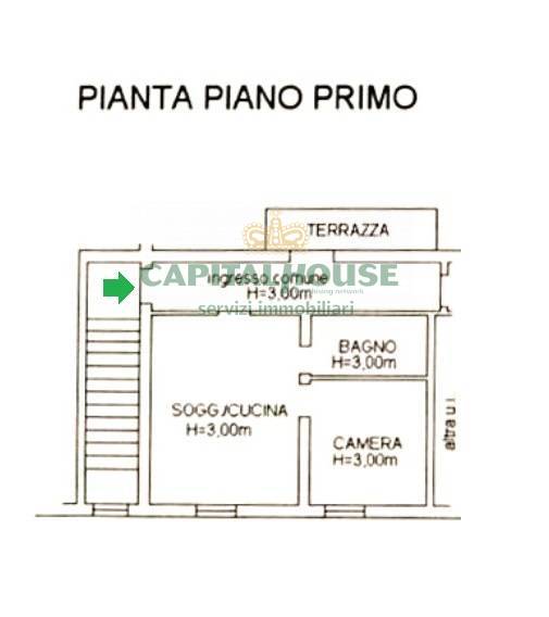 Immagine 21 di Appartamento in affitto  in Via Tartagni a Bologna