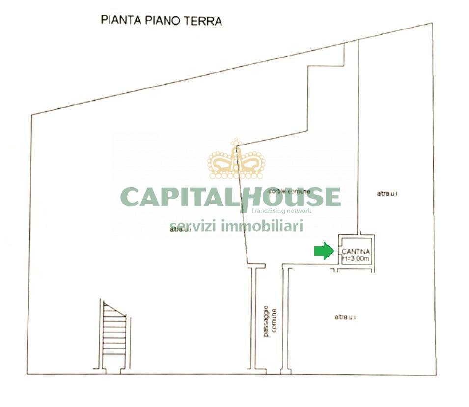 Immagine 22 di Appartamento in affitto  in Via Tartagni a Bologna