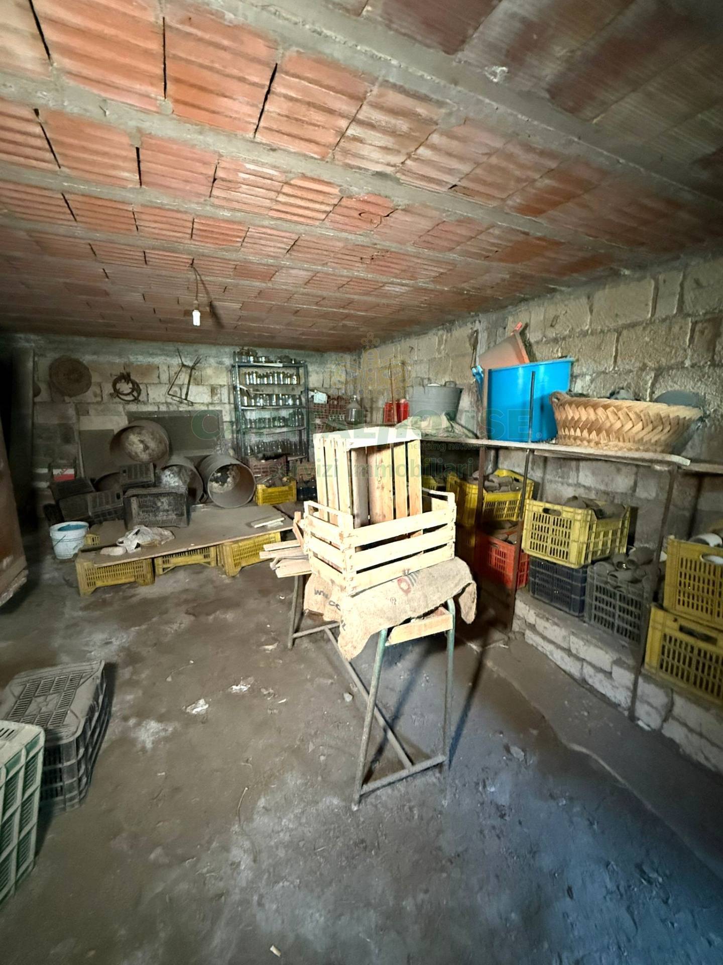 Foto annuncio 25