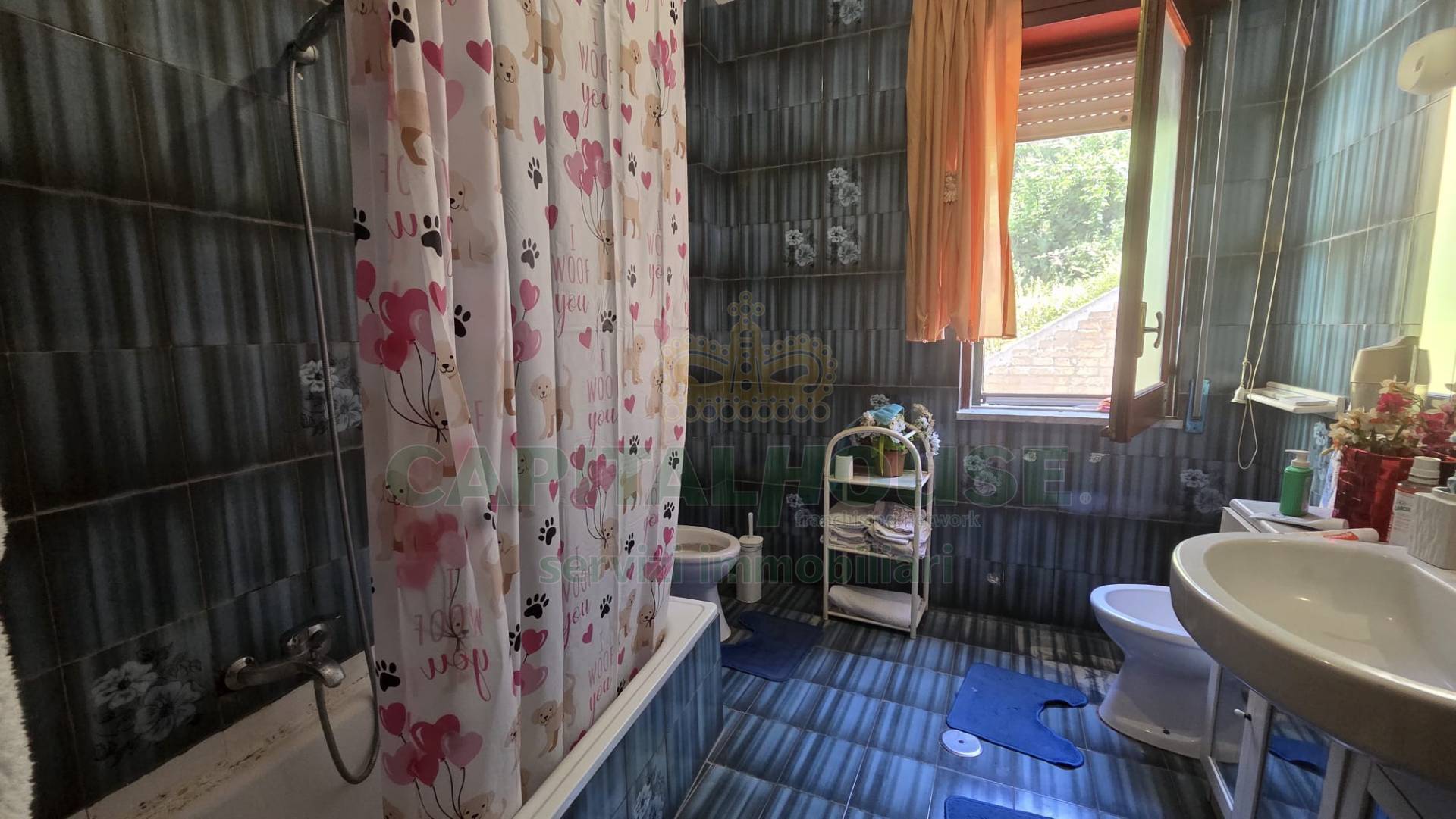 Foto annuncio 15