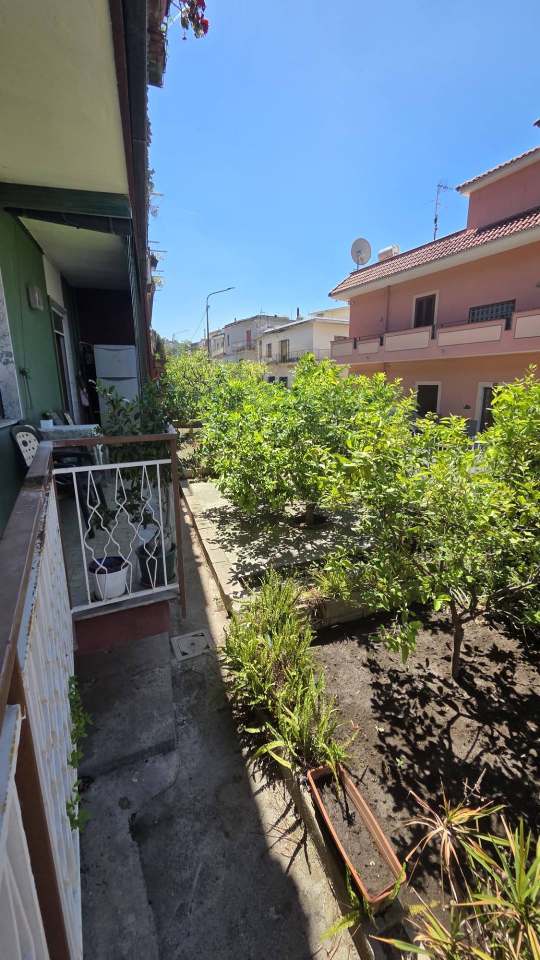Foto annuncio 18